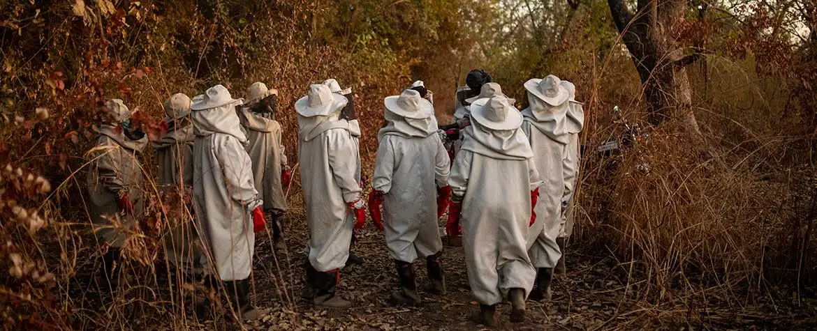 Otro pilar del proyecto de mujeres es la apicultura, que beneficia al huerto frutal y de hortalizas.
© Bente Stachowske Otro pilar del proyecto de mujeres es la apicultura, que beneficia al huerto frutal y de hortalizas.